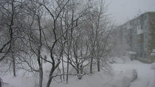 Мужчина погиб под завалами снега на Камчатке