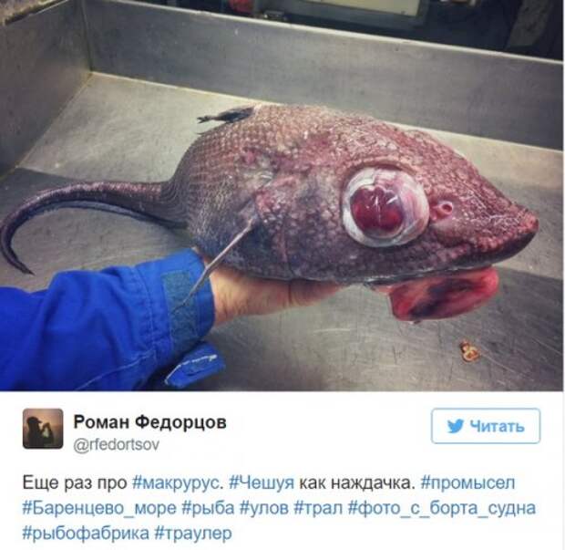 Познавательный твиттер моряка Романа Федорцова (16 фото)