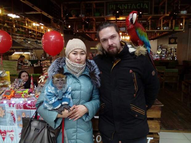 Фриланс, любовь и инвалидность