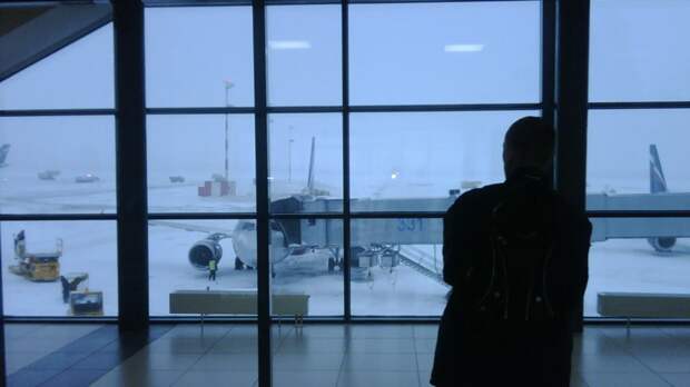 Прокуратура начала проверку после задержки и отмены рейсов в аэропортах Москвы