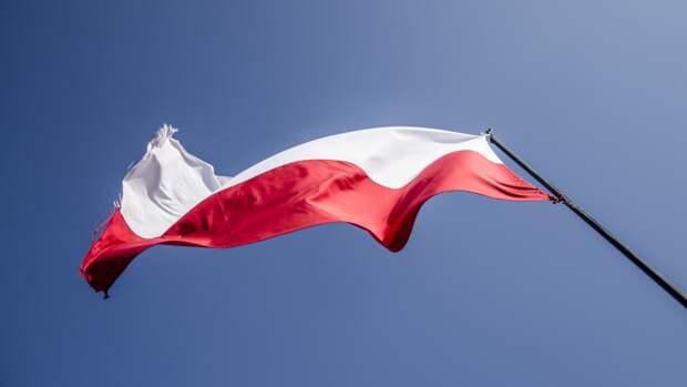 Белорусский политолог Сыч назвал причины строительства Польшей забора на границе