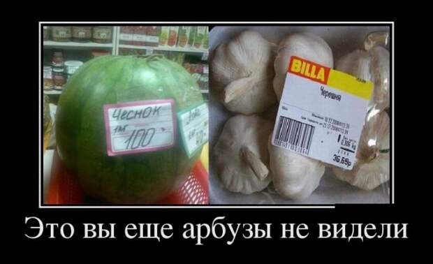 Демотиваторы (30 фото)