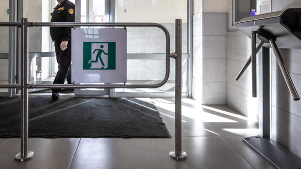 Бастрыкин потребовал доклад по скандалу со школьницей с ножом в Богородске