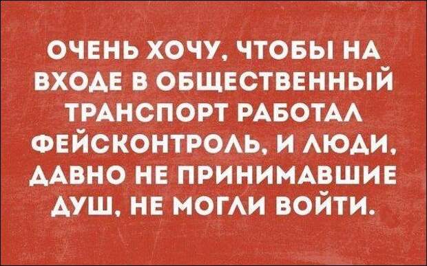 30 искрометных шуток для прекрасного настроения на весь день