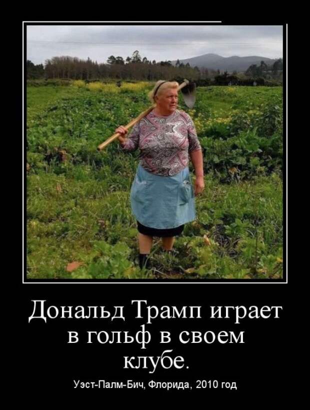 Демотиваторы (30 фото)