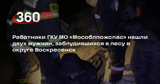 Мужчин спасли из зимнего леса в Воскресенске