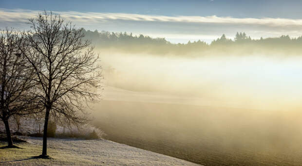 Морозы до минус 47 градусов ожидаются на Ямале