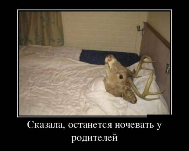 Демотиваторы (30 фото)