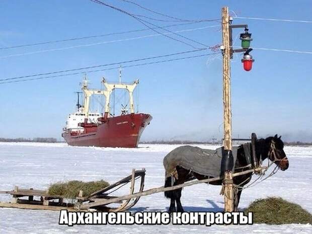 Подборка картинок Подборка картинок