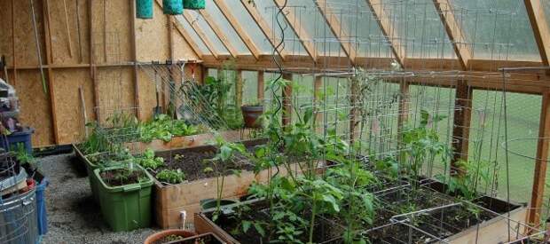 gardenbeds.us Грядки в теплице