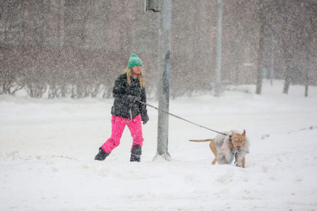 Пик снегопада в Москве и области может прийтись на период с 03:00 до 06:00