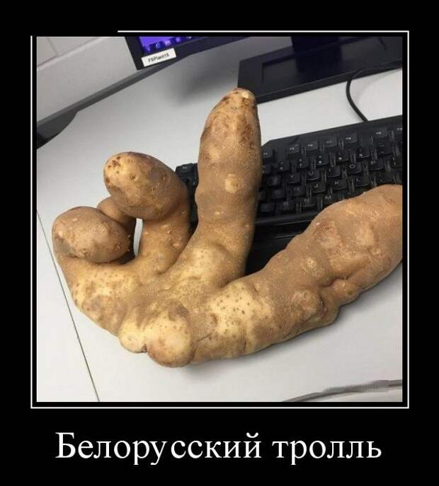 Демотиваторы (30 фото)