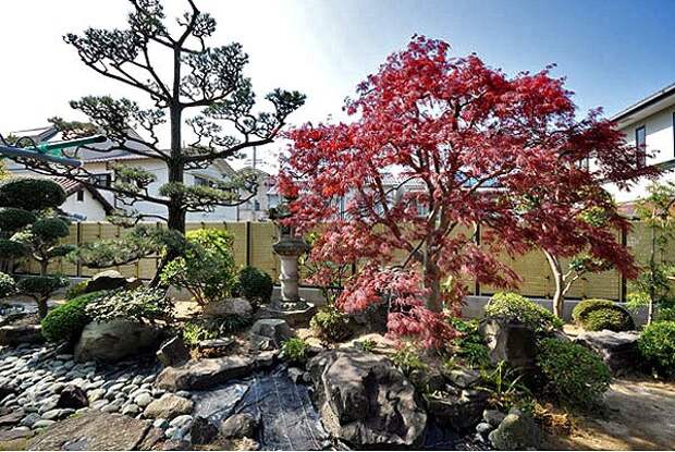 японский сад на даче фото (9)