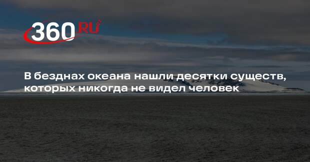 Японские ученые обнаружили 38 новых видов глубоководных животных