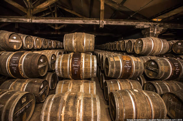 Коньячный рай Hennessy