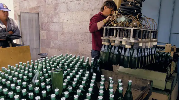 Предприятия из Крыма приняли участие в Российско-арабском деловом совете на Экспо