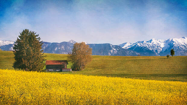 Raps by Axel Hoffmann on 500px.com