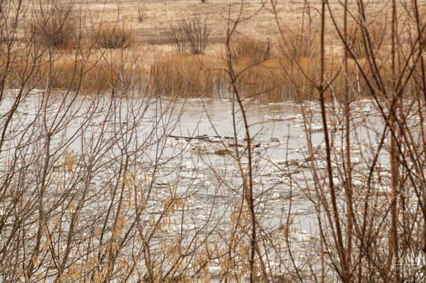 Жителей ЦФО и ПФО предупредили о повышенном риске весенних паводков