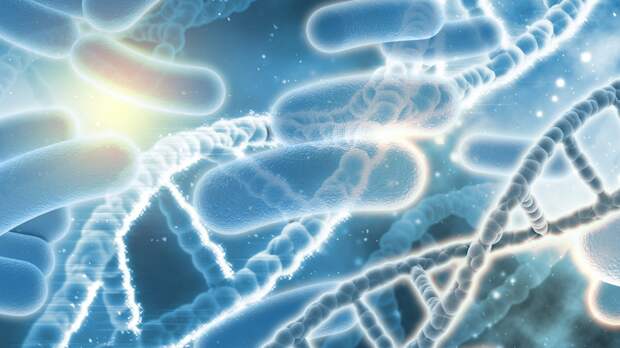 Гены соседа по комнате могут формировать ваш микробиом