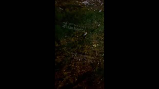 Video: Видео от Донецкая группа новостей|Донецк.ДНР