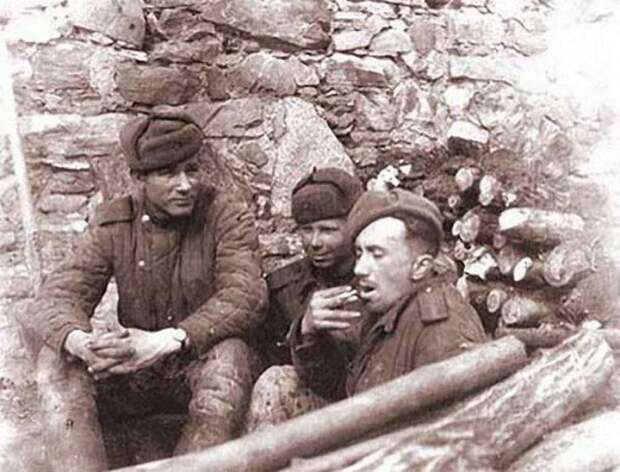 Фронтовые фотографии Алексея Макаровича Смирнова Фронтовые фотографии Алексея Макаровича Смирнова