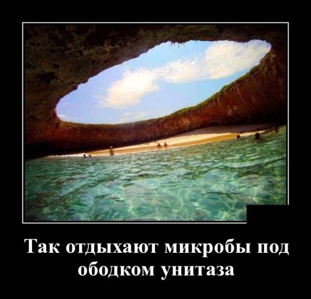 Демотиваторы (30 фото)