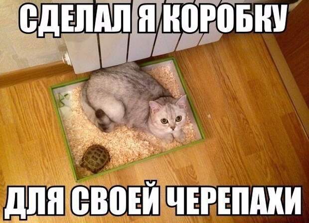 Позитивный пост+70 Позитивный пост+70