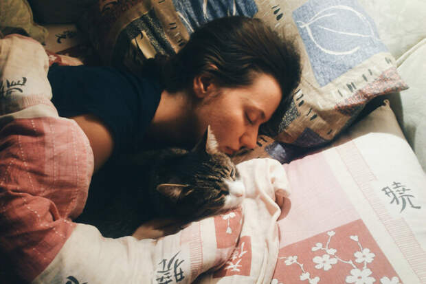 «Хочу с тобой спать»: почему кошки стремятся в постель к хозяину