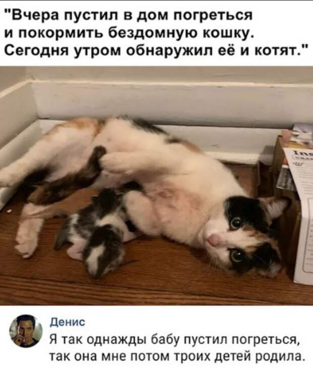 юмор в картинках (20)