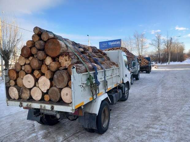 В регионе начнут действовать новые правила транспортировки древесины