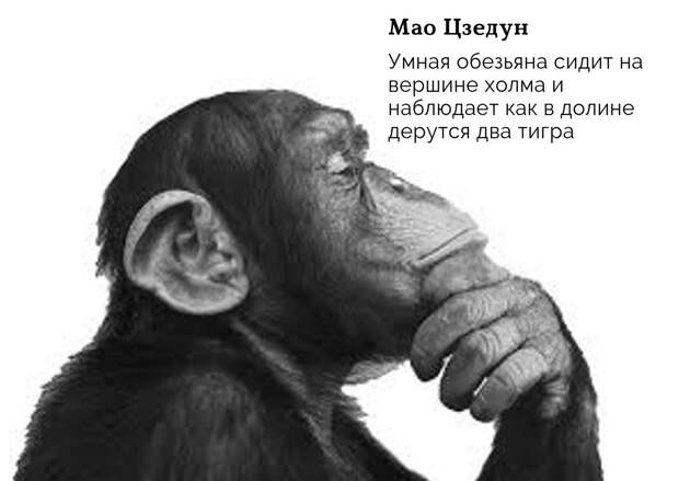 Ничего не делать - ключевой навык инвестора