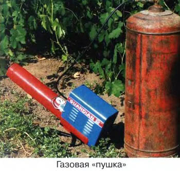 Газовая пушка