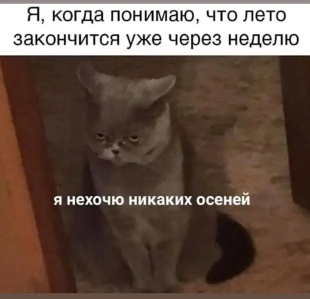 – Милый, у меня кончик языка болит, посмотри, пожалуйста! – Всё нормально, он раздваивается... когда, Девушка, говорит, бульон, проезжает, мужик, скрипучем, знает, сколько, хотел, общемто, скажи, покажет—, добился, известный, русский, исследователь, Пржевальский, встретил, Однажды