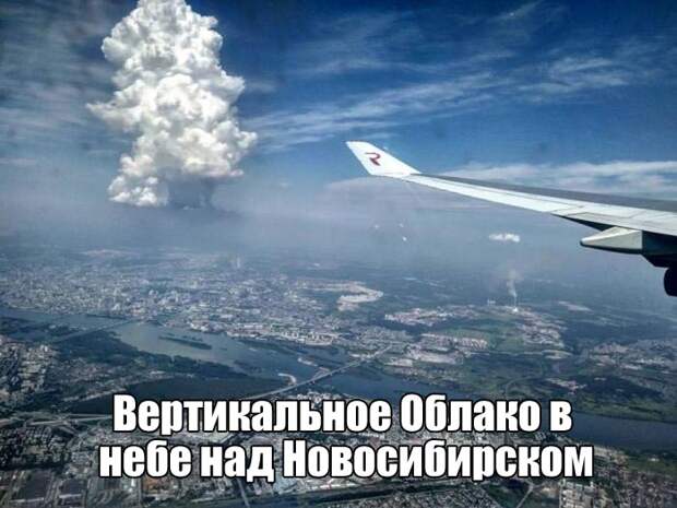 Веселые и жизненные картинки с надписями со смыслом (12 фото) Веселые и жизненные картинки с надписями со смыслом (12 фото)