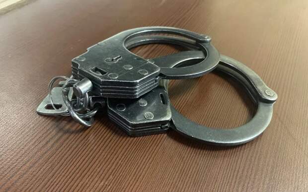 Задержан за донат экстремистам: нашелся экс-главред рязанского сайта Мойсеюк