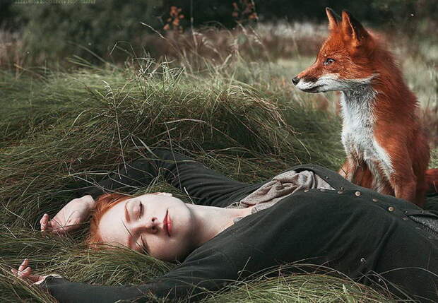 Две лисицы: серия портретов Alexandra Bochkareva