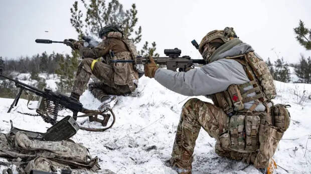 В Киеве заявили, что контрнаступление ВСУ в Запорожье остановилось