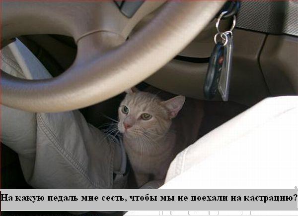 Мысли :) (50мыслей)