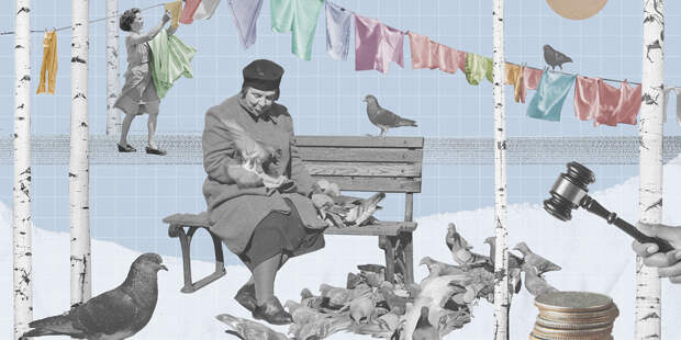 Березовый сок, голуби и белье на веревках: за что оштрафуют этой весной