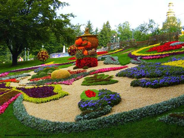 Выставка цветов 2012 в Киеве.