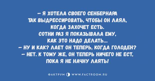 Восхитительные анекдоты, стоящие вашего внимания и улыбки Восхитительные анекдоты, стоящие вашего внимания и улыбки