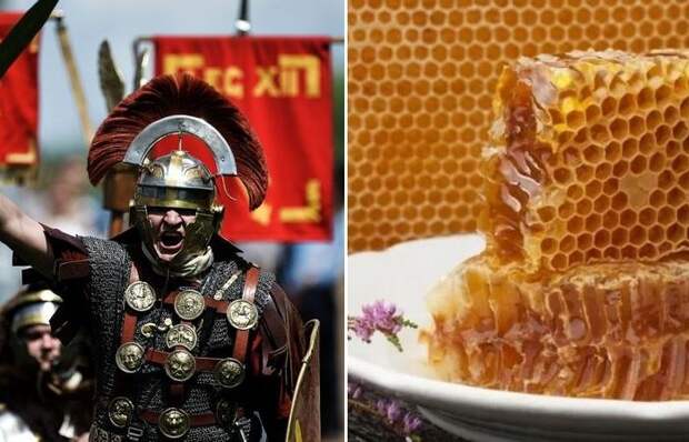 Как «неправильный» мёд привёл целый римский легион к поражению, а сотни бойцов к гибели (Исторические сказки) ﻿