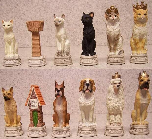 Кошки против собак искусство, красота, мастерство, невероятное, талант, шахматы