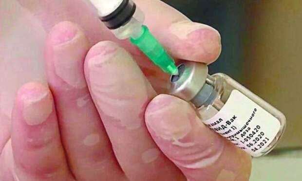 Корреспондент The New York Times привился российской вакциной от коронавируса и рассказал о своих впечатлениях
