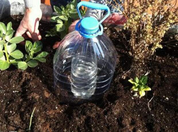 Система капельного полива на энергии солнца