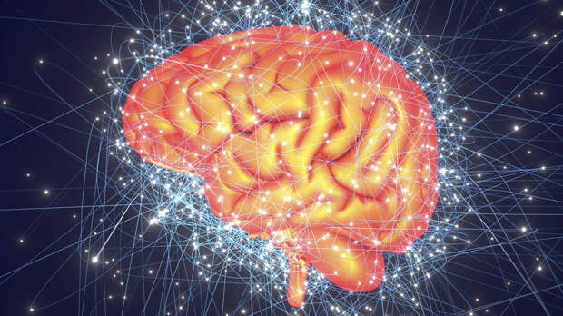«Подпитывать мозг новой информацией»: специалист — о методах развития когнитивных функций