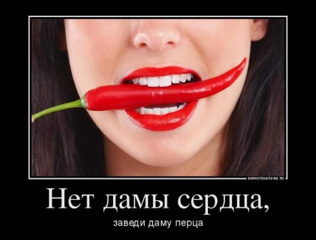 Демотиваторы-новинки (19 шт)