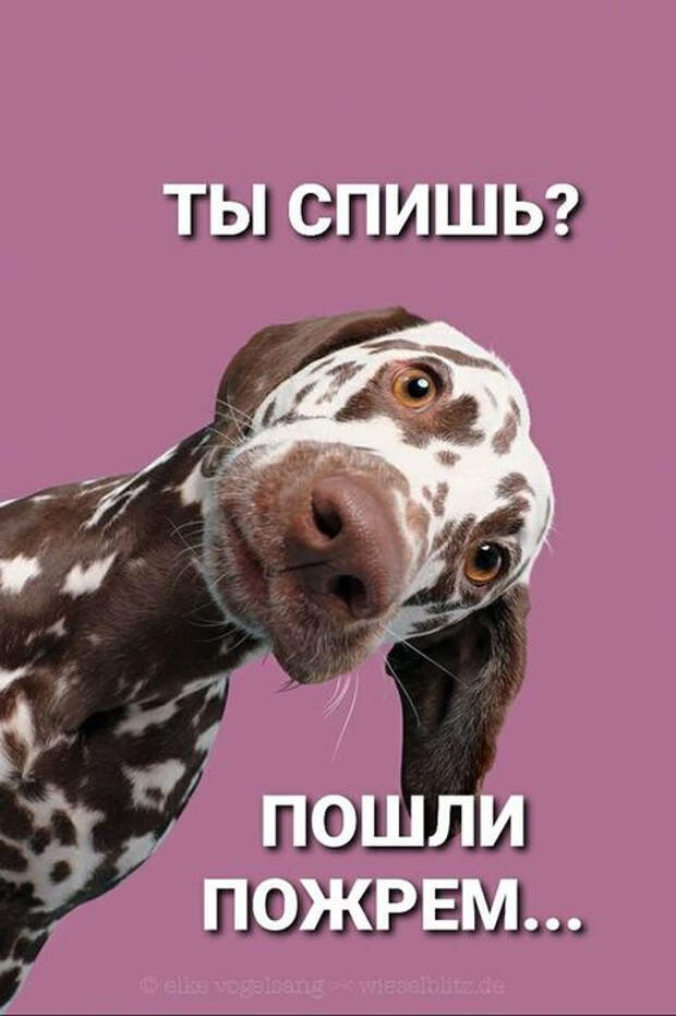 157150648_3416556_9a25eaa67dd0b04bae21b316427c0cf3 (466x700, 137Kb)