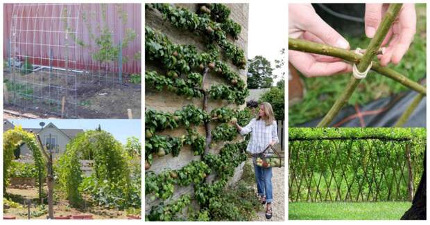 Удивительные идеи живых садовых украшений и построек, которые можно сделать своими руками