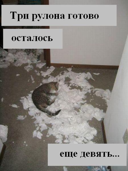 Мысли :) (50мыслей)